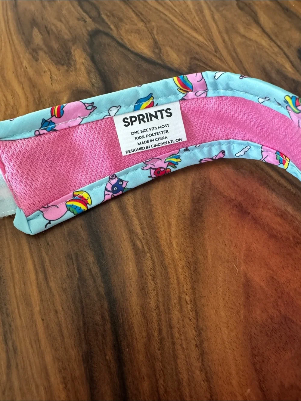 SPRINTS Flying Rainbow Pigs Running Visor Aqua Pink Never Worn